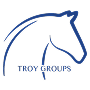 The Troy Groups